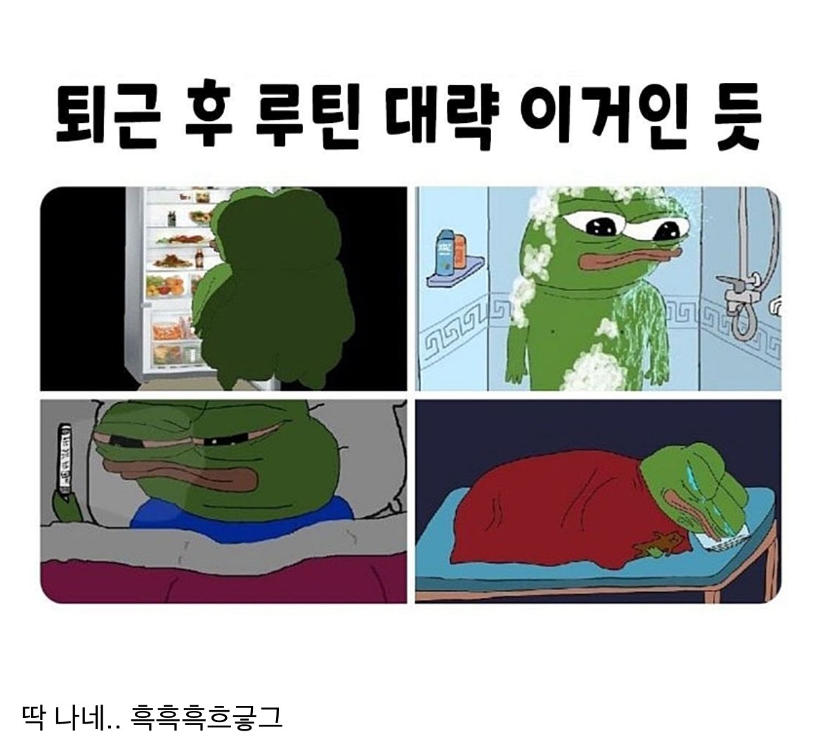 직장인들 퇴근 후 루틴 국룰..