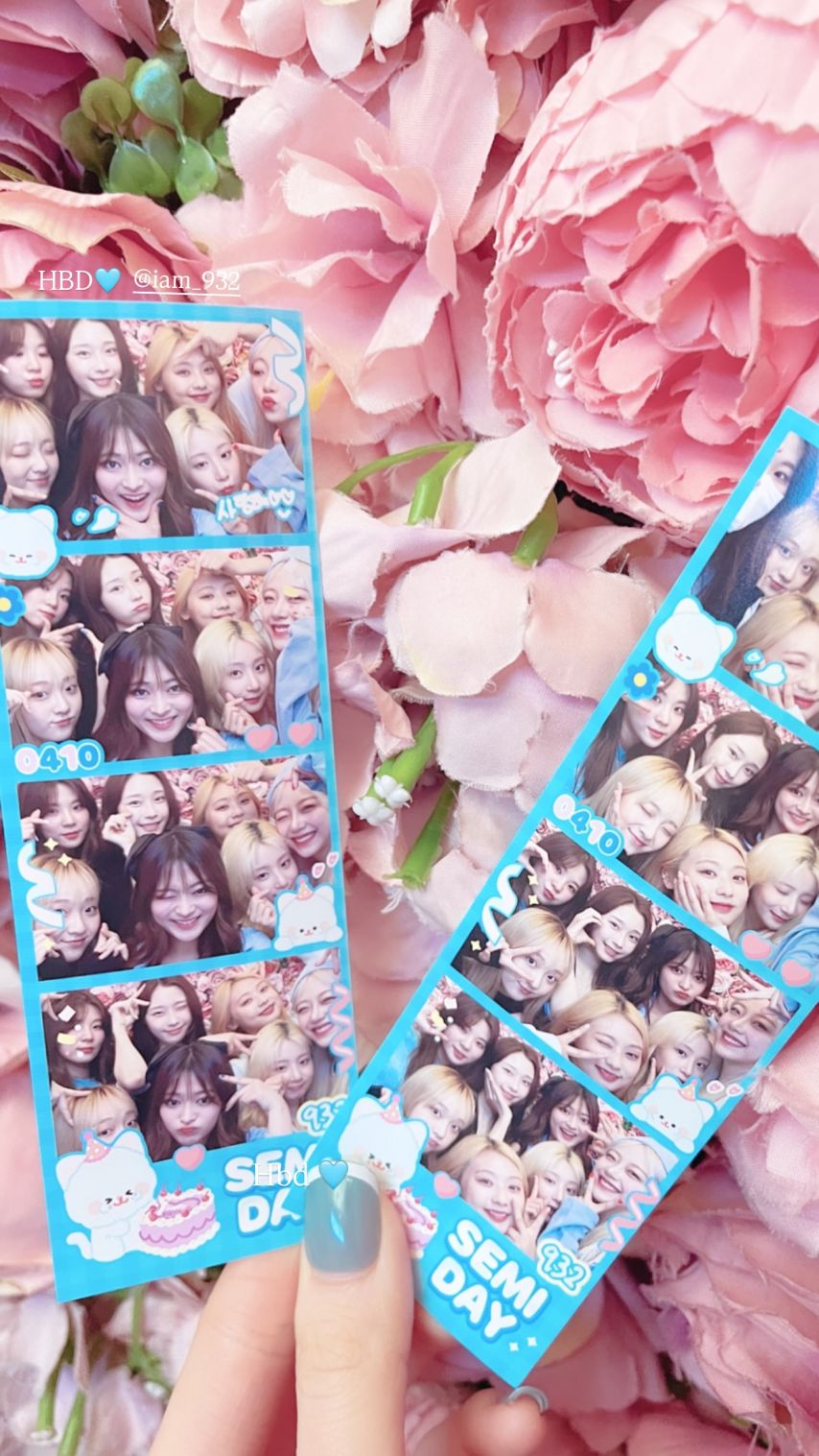 시그니처 채솔 인스타