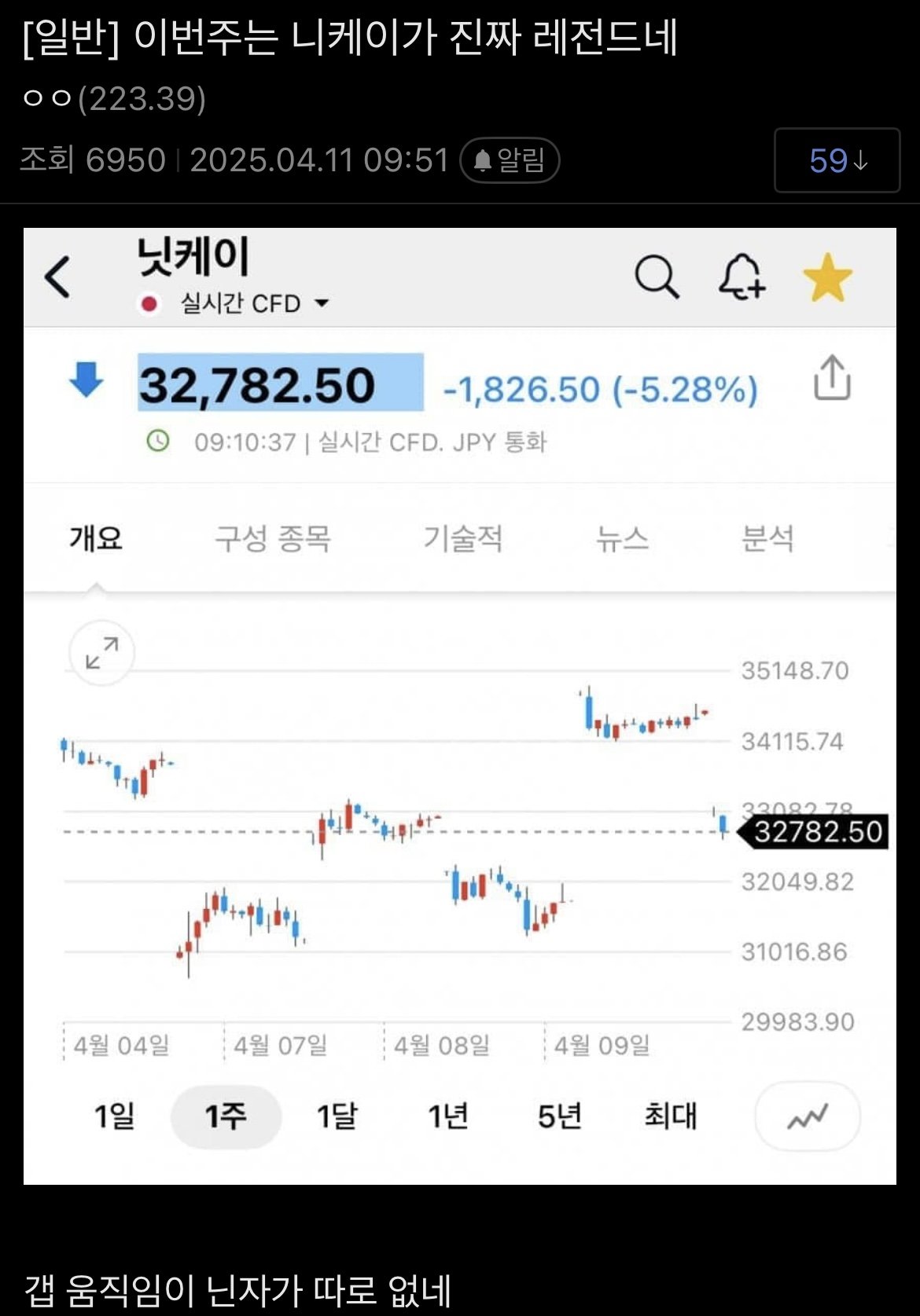 요즘 멋있다고 난리난 일본 주식시장....