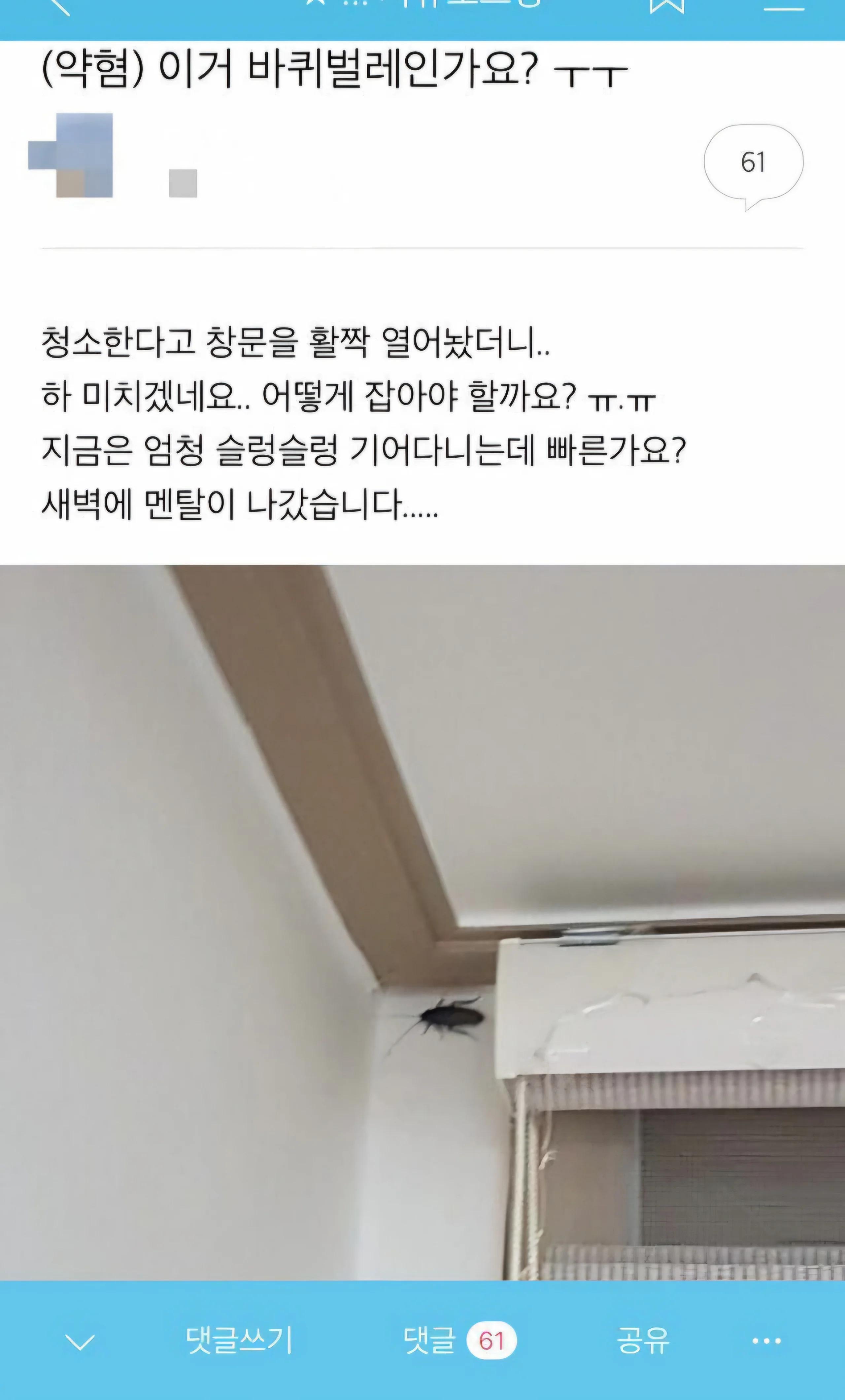 약혐)창문 열었더니 들어온 바퀴