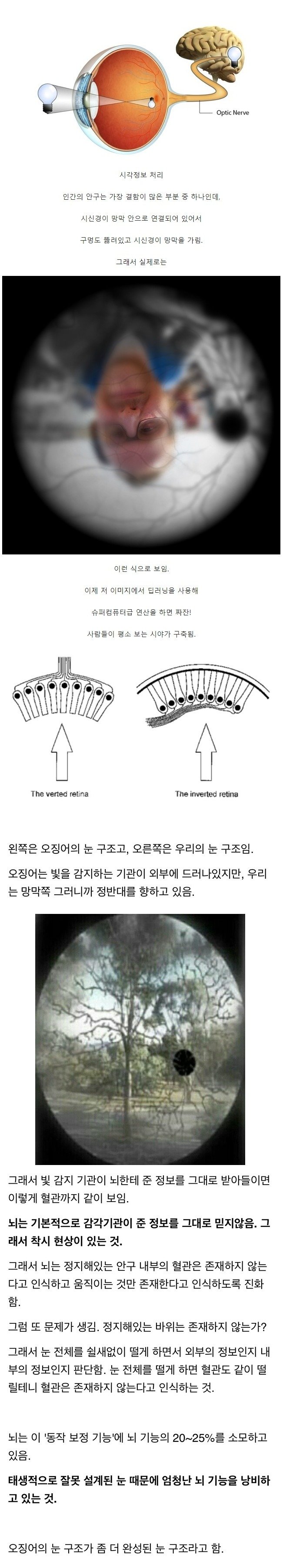 뇌 사용량의 가장 많은 부분을 차지한다는 기능