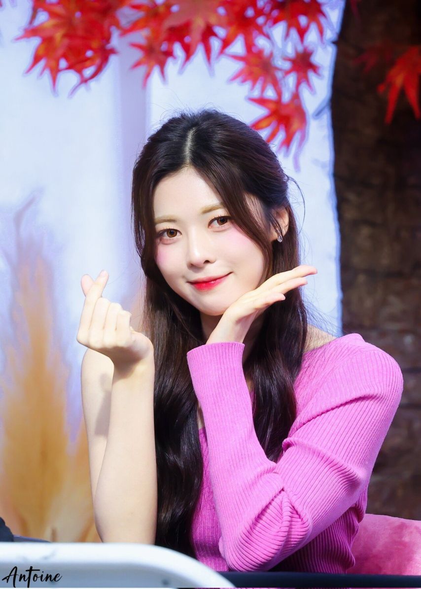 트리플에스 다현