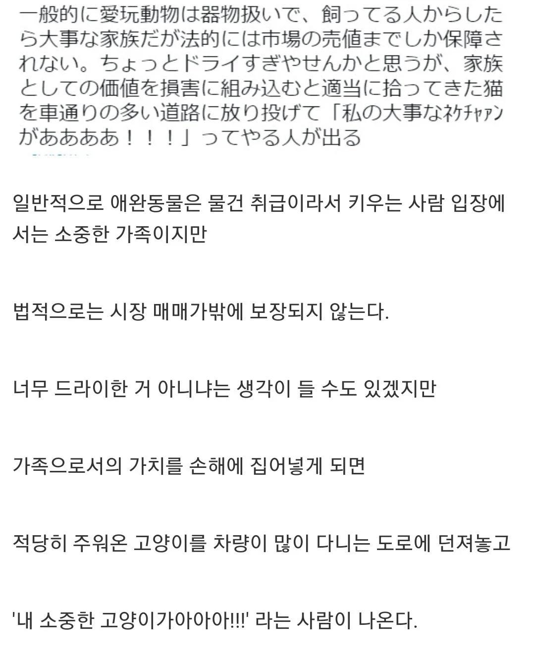 애완동물의 법적가치가 낮을수밖에 없는 이유