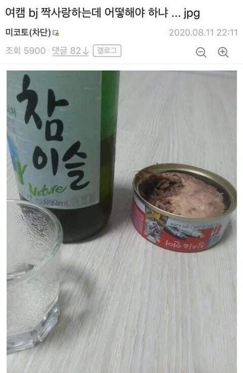 여캠 bj 짝사랑한다는 디시인