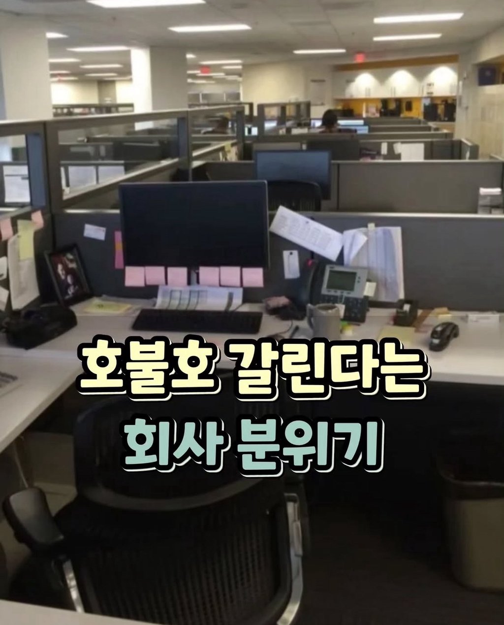 호불호 갈린다는 회사 분위기