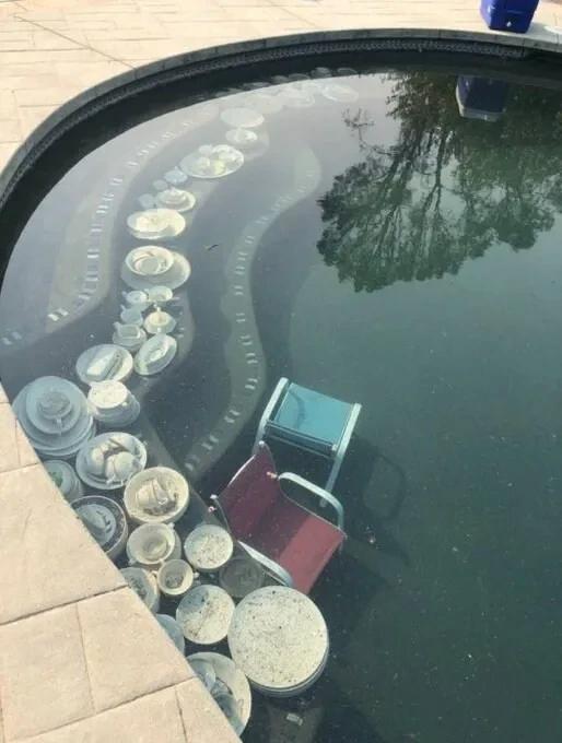 고급 식기가 수영장에 들어가 있었던 이유