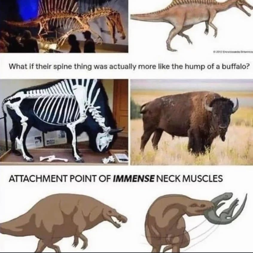 스피노사우르스 복원 가설중 하나