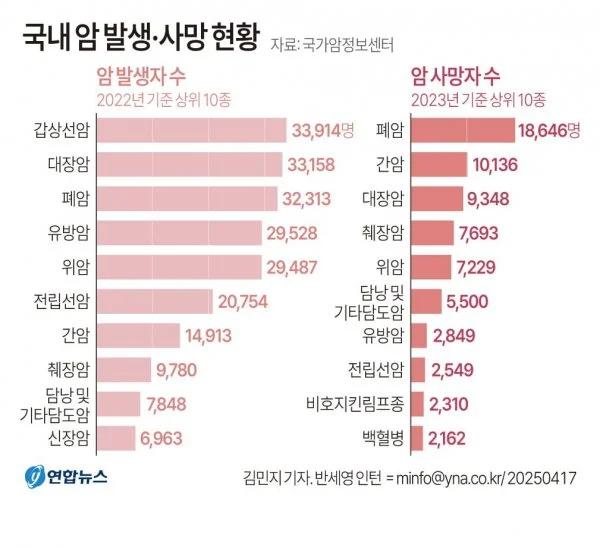 국내 암 발생사망 현황