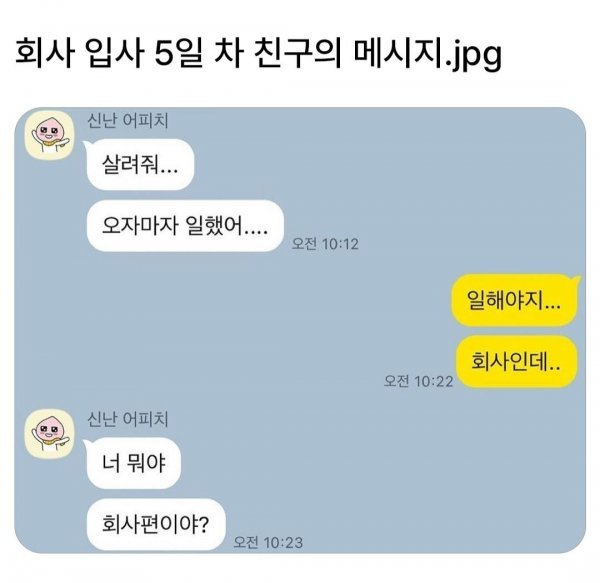 회사 입사 5일 차 친구의 메시지