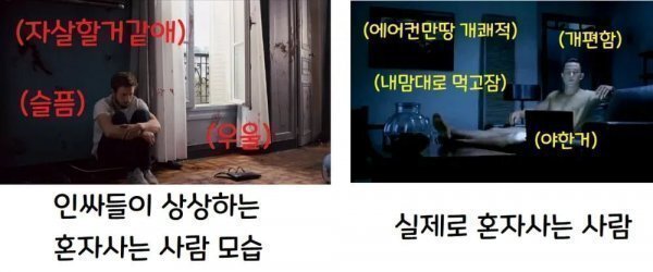 혼자 사는게 정말 편한 사람 특징