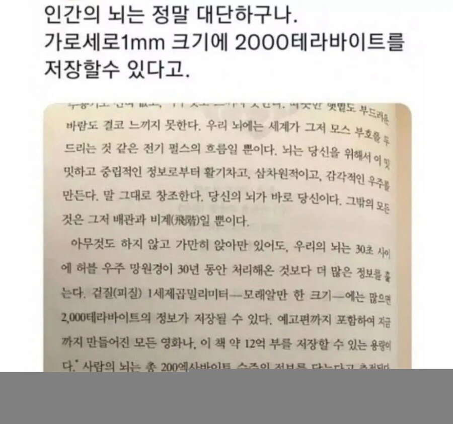 인간 뇌가 1mm당 저장할수 있는 용량