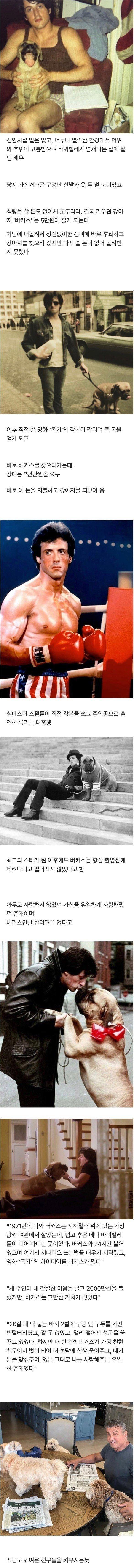 너무 가난해서 개를 40달러에 팔았던 배우