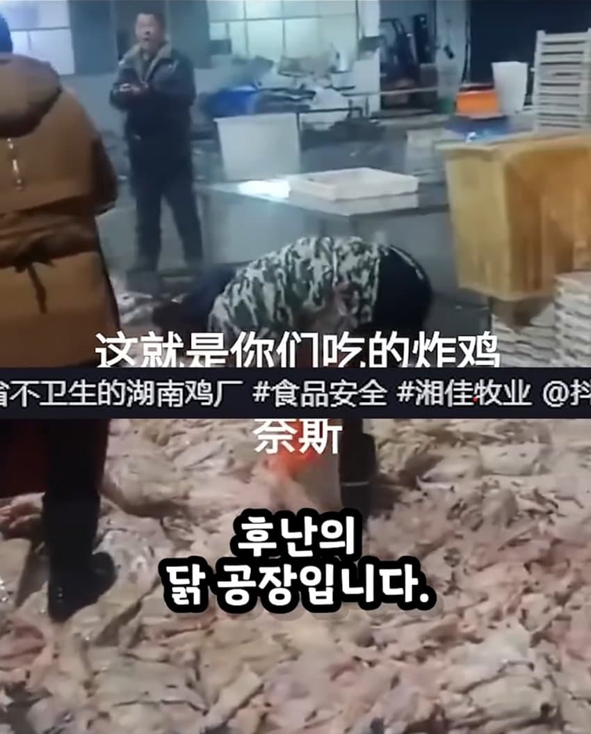 한국에 수출하는 중국 닭공장이라고 퍼지는 짤