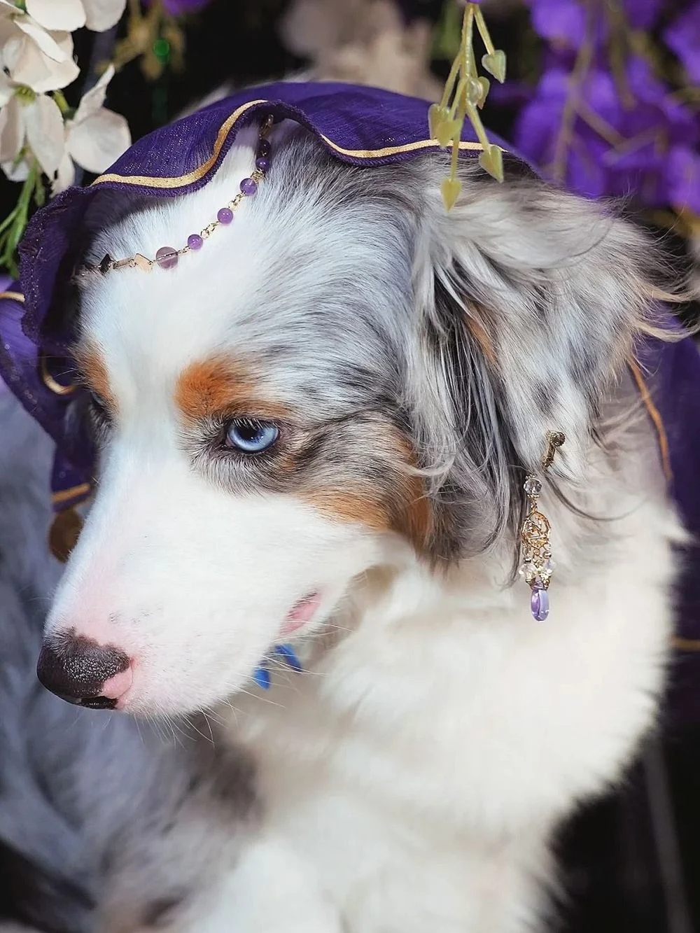 세상에서 가장 아름다운 암캐