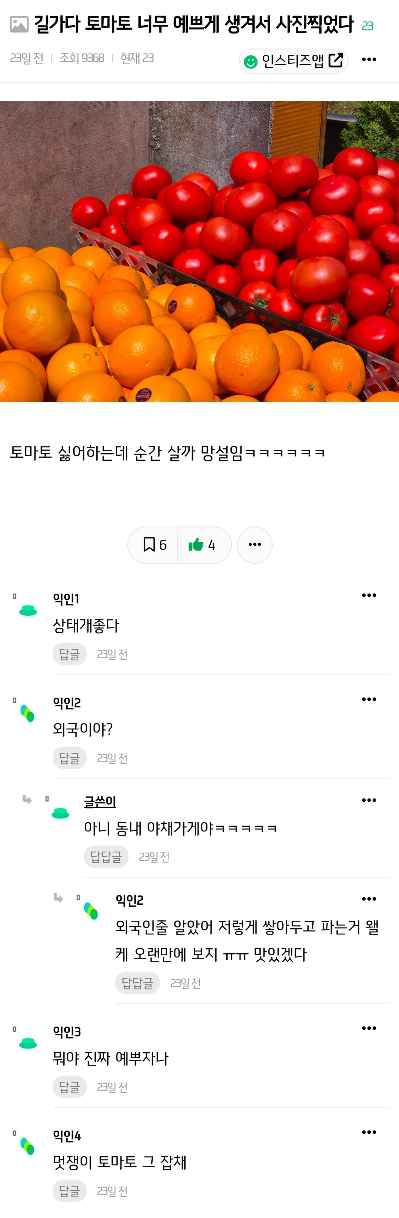 길가다 토마토 너무 예쁘게 생겨서 사진 찍었다