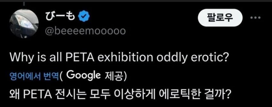 약혐) 너무 야하다고 말 나온 동물보호 단체의 시위