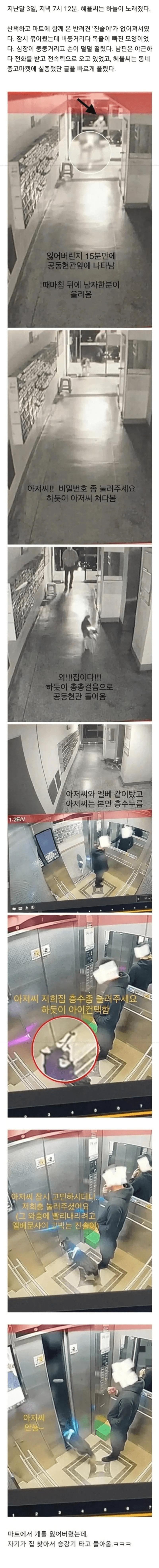 마트에서 개를 잃어버린 사람의 최후