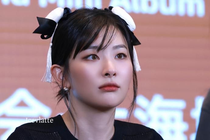 레드벨벳 슬기의 이번주 중국 팬싸 모습.jpg