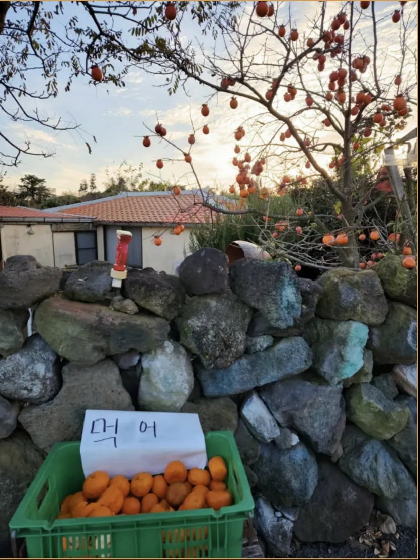 요즘 시골 인심 수준 ㄷㄷㄷ.jpg