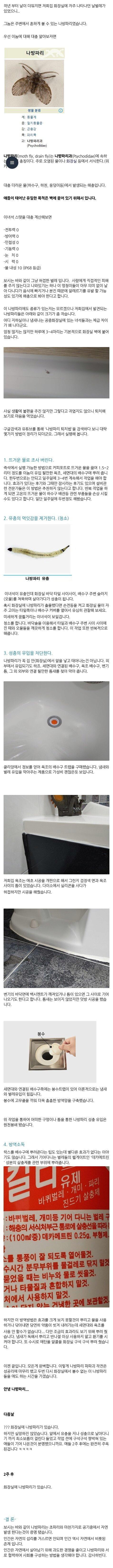 화장실 나방파리 없애기 꿀팁