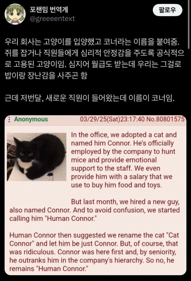 회사에 인간 코너가 생긴 썰