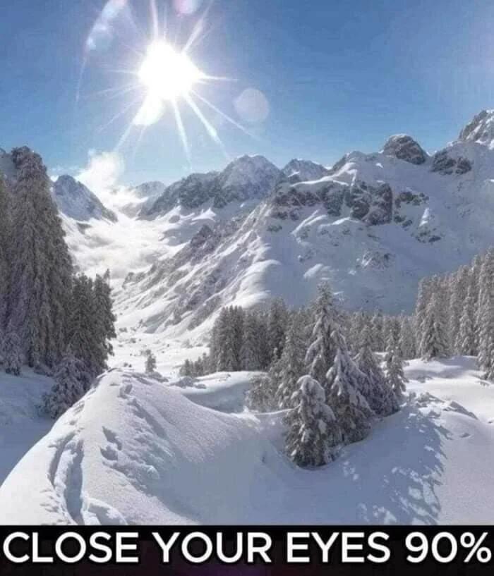 눈을 90%쯤 감으면 보이는 사진