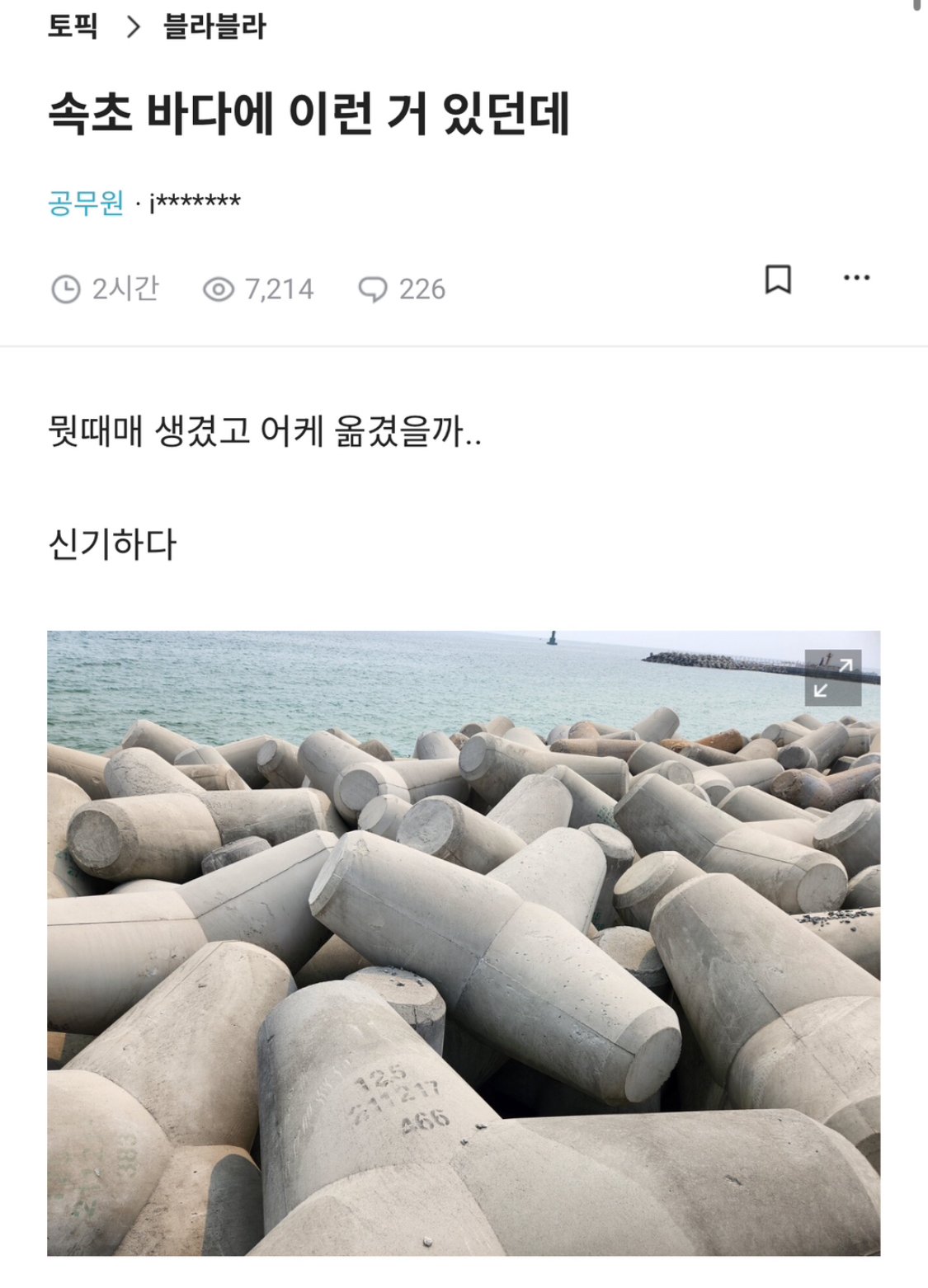 블라인드) 속초 바다에 이런거 있던데