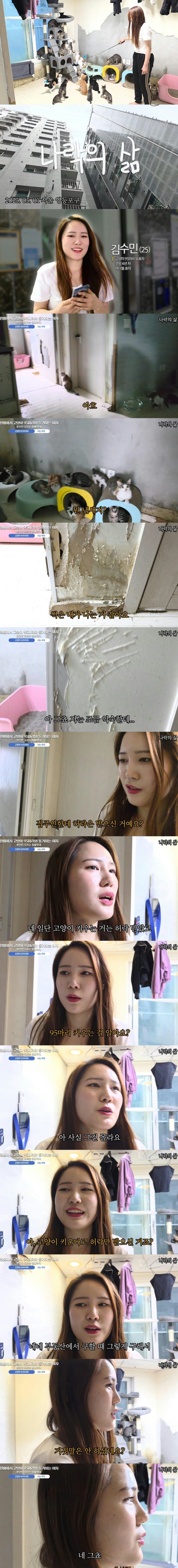 오싹오싹.. 시한폭탄... 부동산 호러스토리