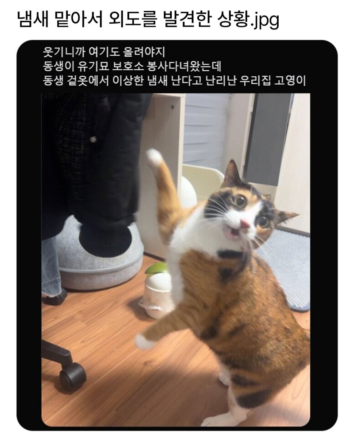 동거인의 옷에서 다른 년의 냄새가 난다.
