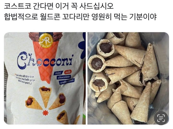 월드콘 꼬다리파를 위한 제품