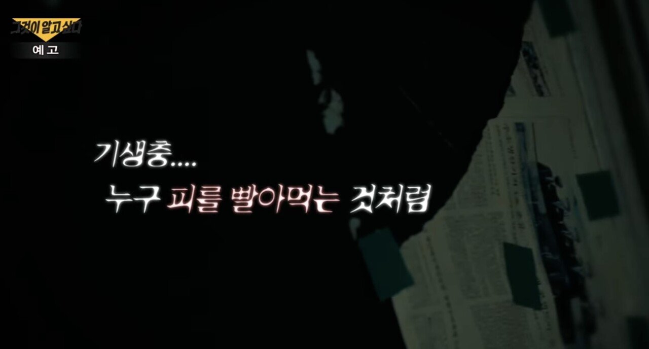 그알 "어느 캥거루족 이야기" 떳다 ㄷㄷㄷㄷㄷㄷ