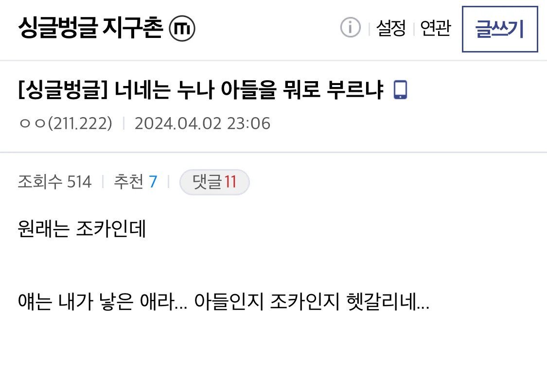 너네는 누나 아들을 뭐라고 부르냐