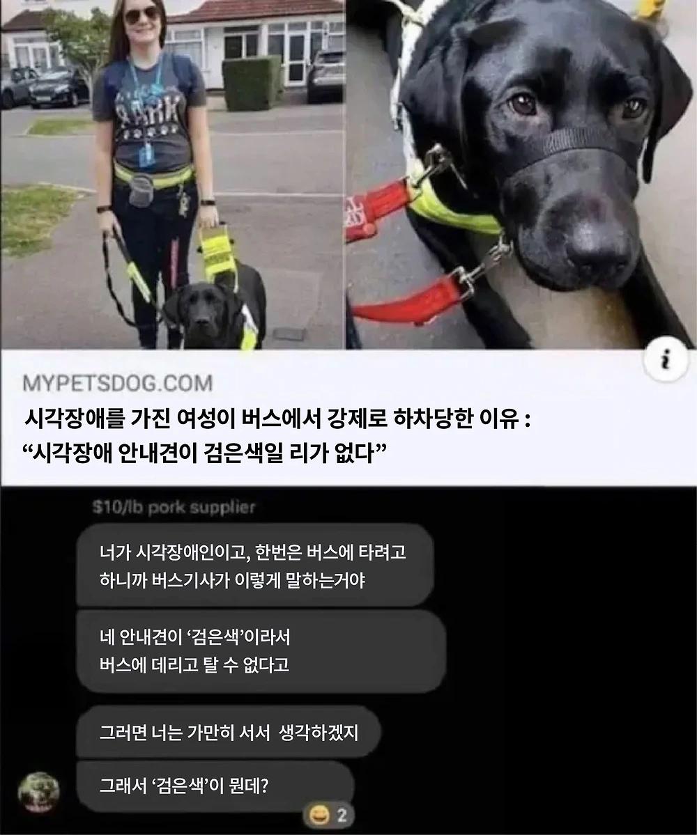 고전) 승차 거부당한 시각장애 안내견