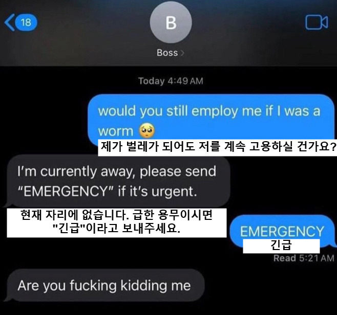새벽 4시, 보스에게 문자보내기