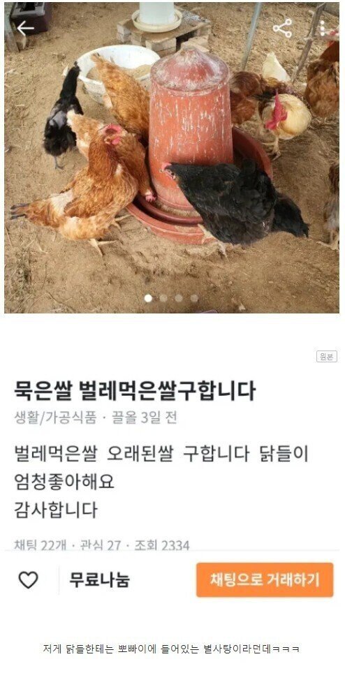 묵은쌀 벌레먹은 쌀을 구하는 이유