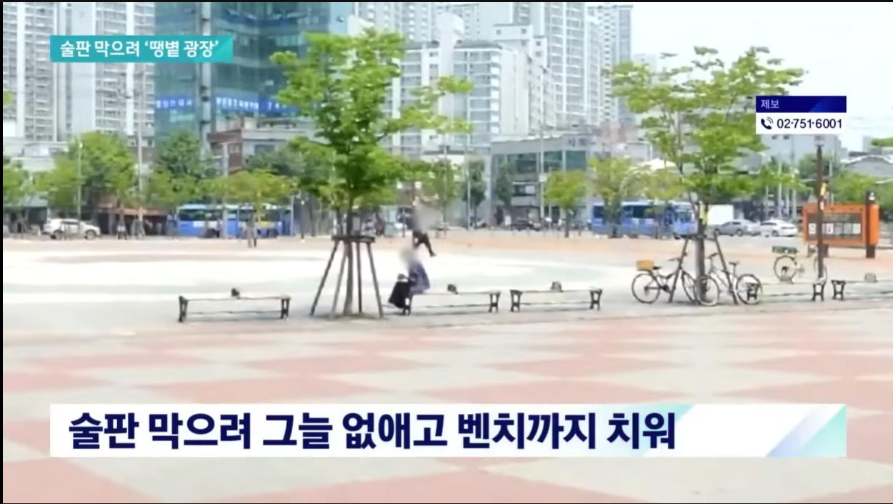 술판 막겠다고 그늘 없앤 구청