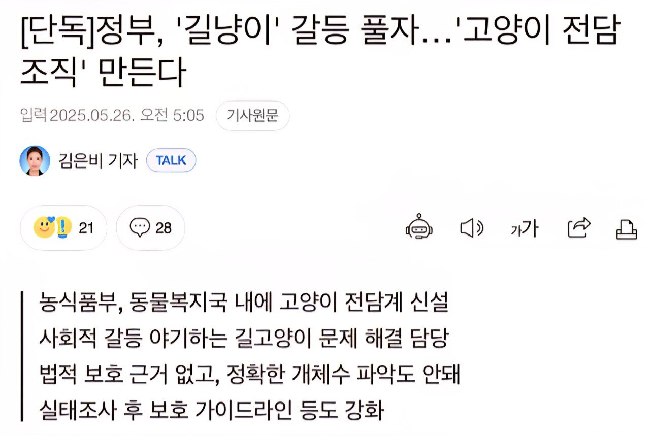 털바퀴들 다 뒤졌다 ㅋㅋㅋ 길냥이 전담 부서 신설.news
