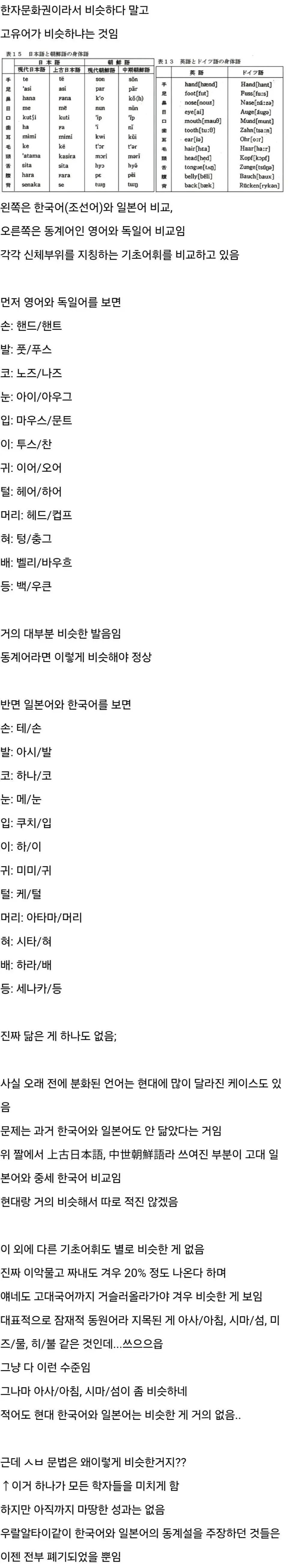 한국어와 일본어를 연구하는 언어학자들이 미치는 이유