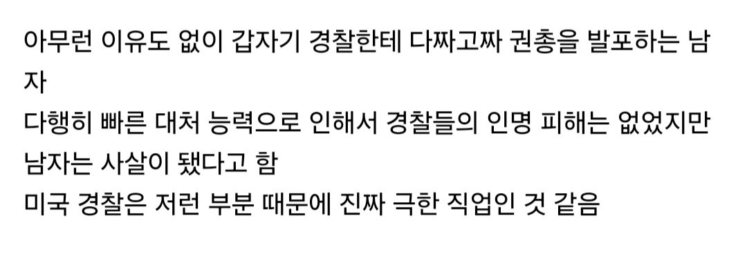 (약혐) 미국 경찰이 도로에서 정차를 시킨 자동차