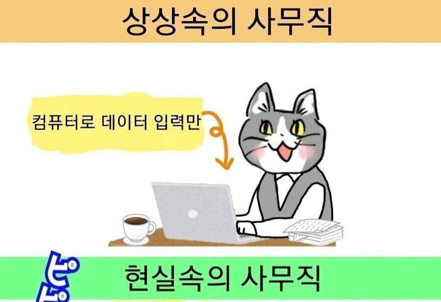 ㅇㅎ) 상상속 사무직 vs현실 사무직