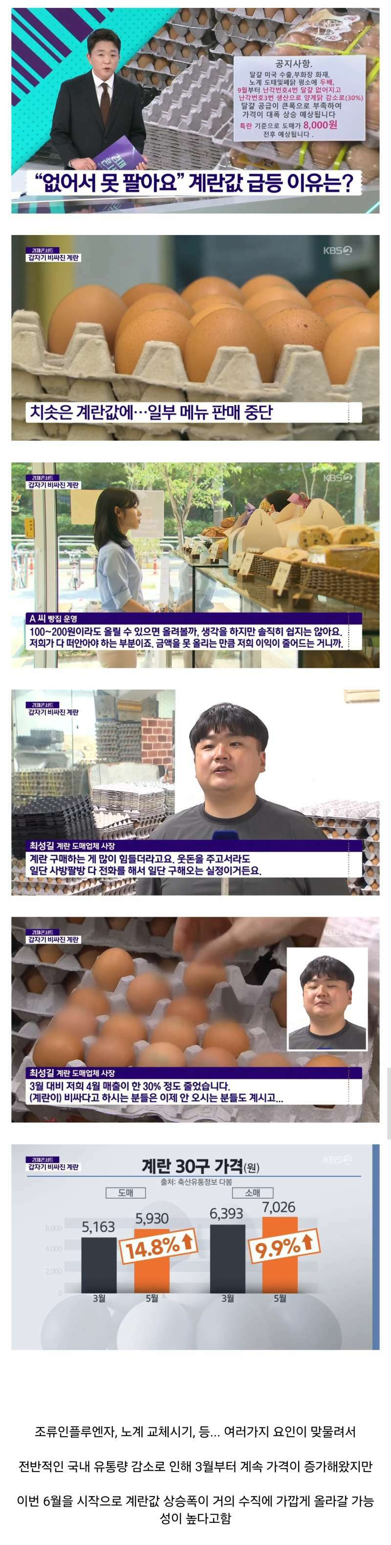 국내 계란값 폭등 조짐