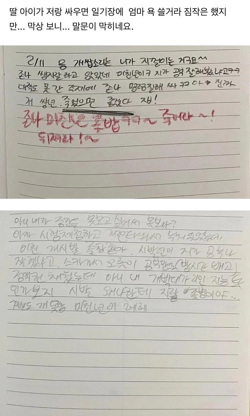 딸 일기장을 보고 충격받은 엄마