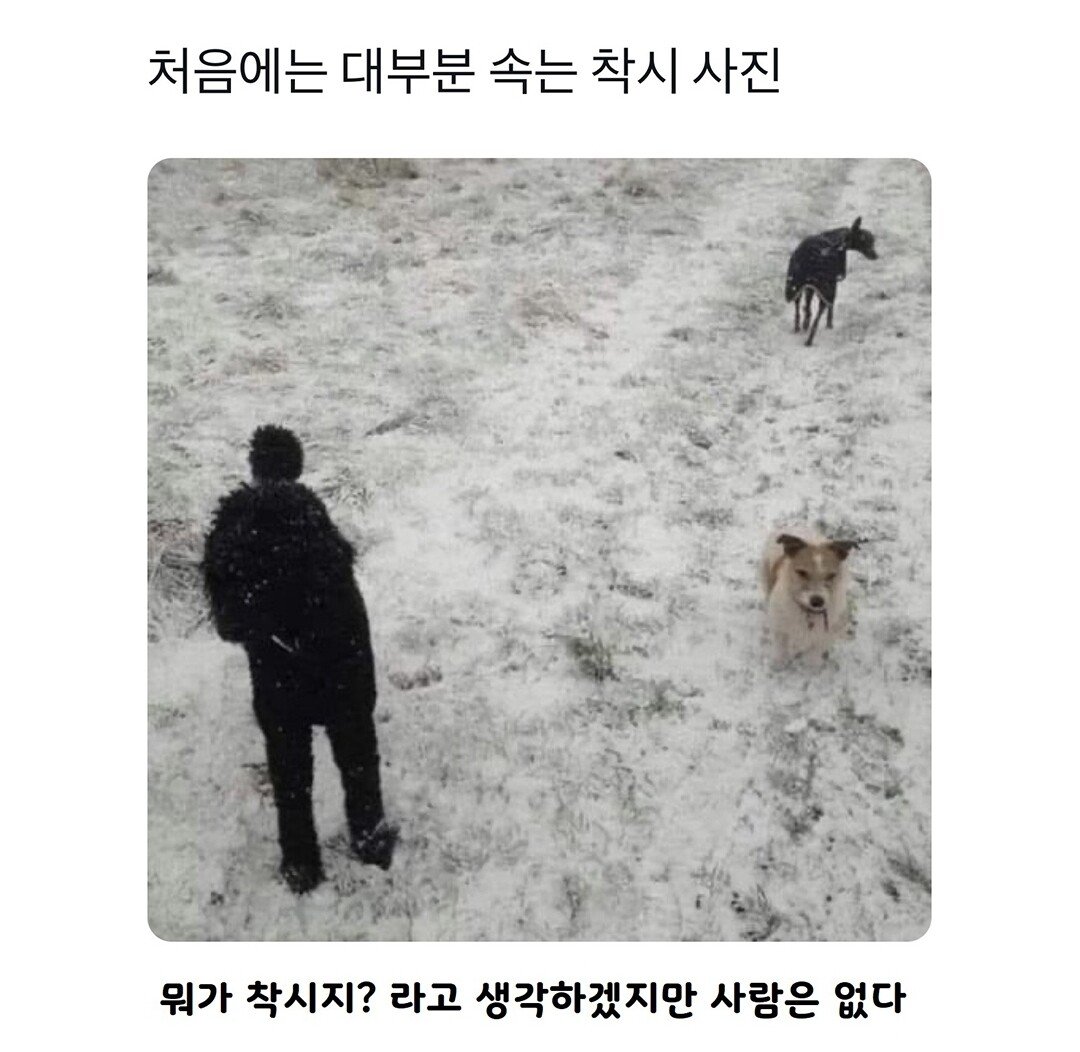 처음에는 대부분 속는 착시 사진