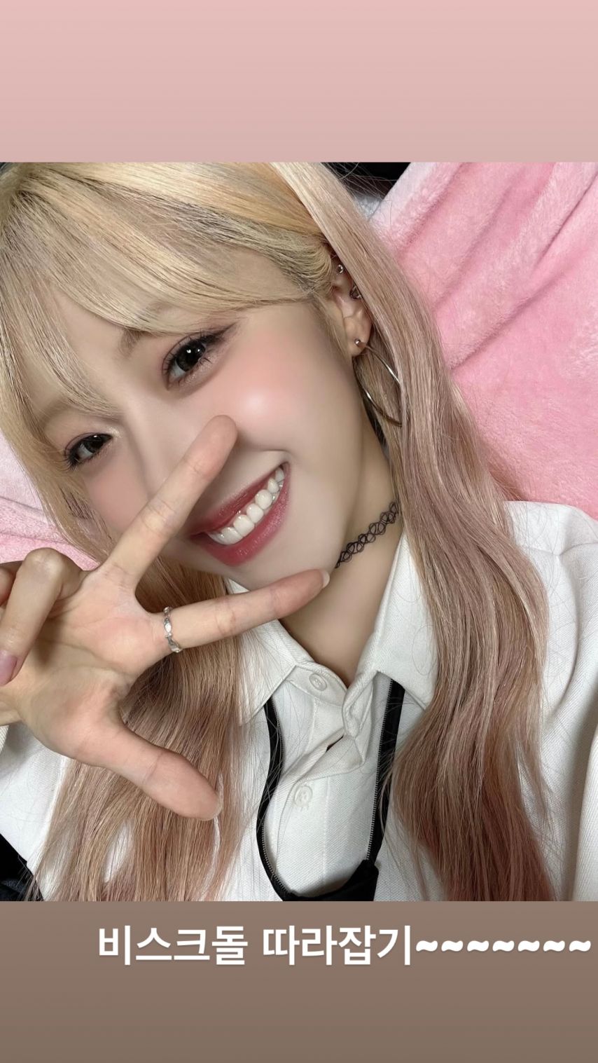 시그니처 지원 인스타