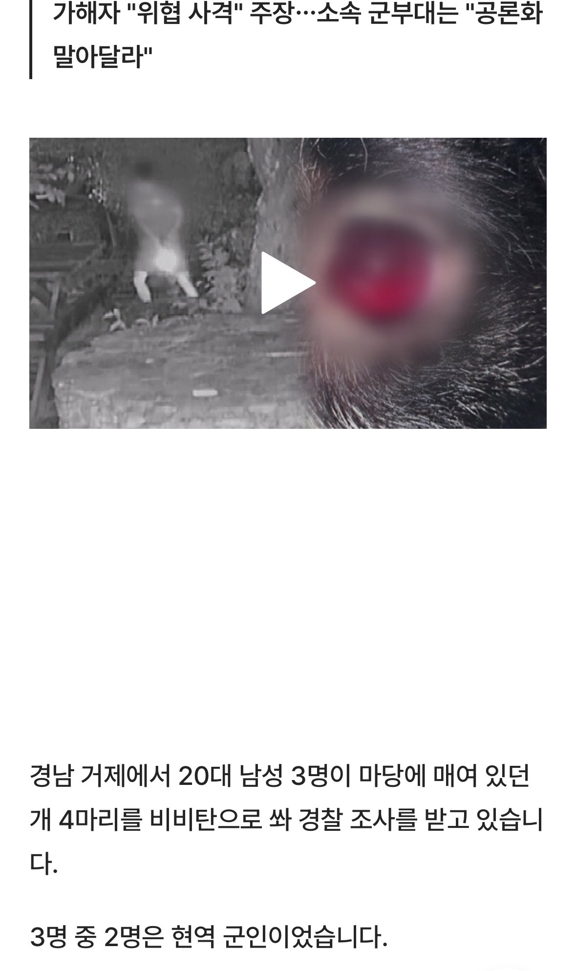 [단독] '비비탄' 수백발에 숨진 노견…가해자는 현역군인 포함 3명