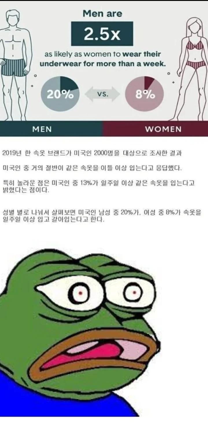 미국인들 속옷 갈아입는 주기