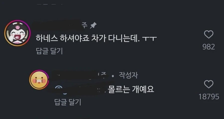 목줄 안하고 개랑 다니던 사람