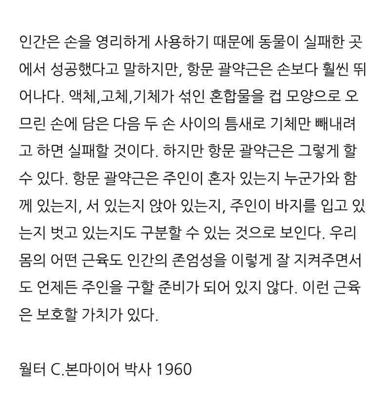 항문을 아껴줘야하는 이유