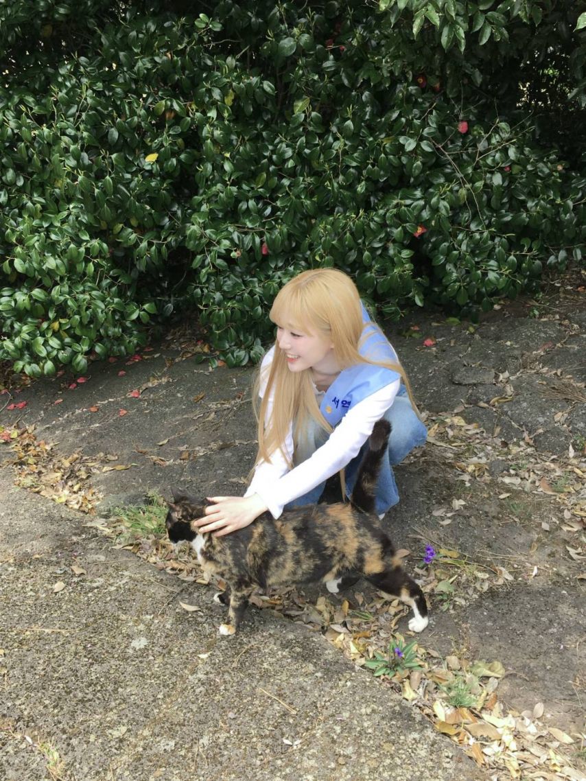 트리플에스 서연