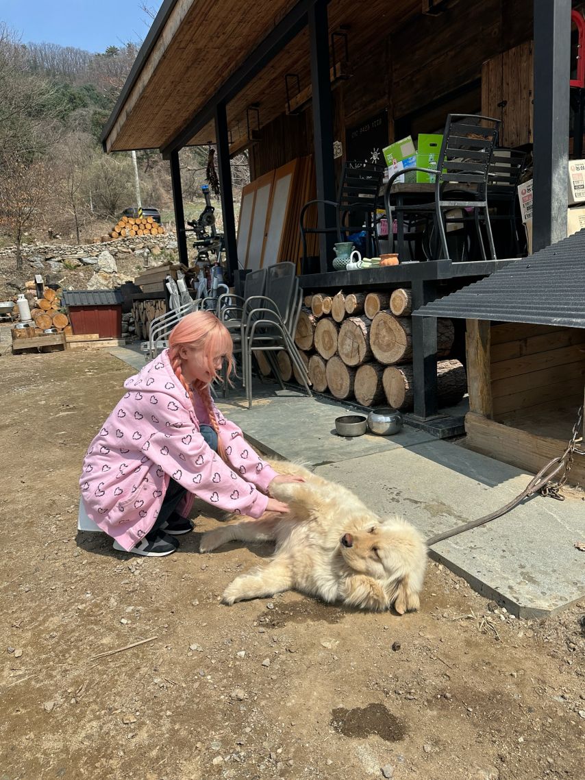 아이브 리즈,이서